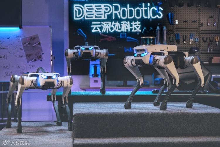 三大产品落地，拓展应用边界——大数科技以数据智能重塑行业生态